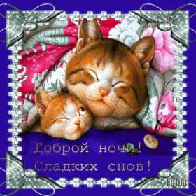 Открытки спокойной ночи,спокойного сна,пожелания спокойной ночи Картинки открытки спокойной ночи,пожелания спокойного сна,открытка открытки спокойной ночи,сладких снов,картинка с пожеланиями спокойной ночи скачать бесплатно .