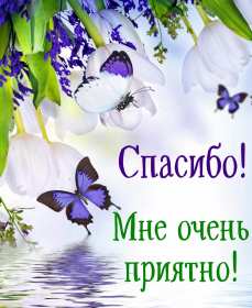 Открытки спасибо,благодарю,красивая открытка с надписью спасибо Открытка,открытки с надписью спасибо,большое тебе спасибо картинки открытки,яркие открытки спасибо,слова благодарности,открытки картинки спасибо,спасибки скачать