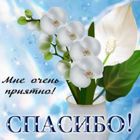 Открытки спасибо,благодарю,красивая открытка с надписью спасибо Открытка,открытки с надписью спасибо,большое тебе спасибо картинки открытки,яркие открытки спасибо,слова благодарности,открытки картинки спасибо,спасибки скачать