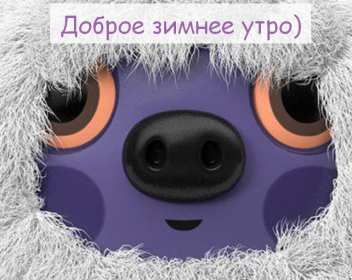 Открытка прикольная с добрым зимним утром,доброе зимнее утро Открытка картинка открытки картинки прикольная с добрым утром зимним,доброе утро зимы,зима,прикольная открытка картинка с добрым зимним утром скачать бесплатно 