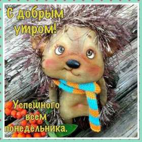 Открытка доброе утро по дням недели, доброе утро понедельника,ёжик Картинка,открытка с добрым утром дни недели,открытки,открытка с пожеланиями доброго утра понедельника,картинка,картинки с добрым утром понедельник скачать бесплатно