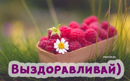Открытка с пожеланиями скорейшего выздоровления,выздоравливай Открытка картинка открытки картинки выздоравливай,пожелать скорейшего выздоравления , выздоравливай скорей,открытка с надписью выздоравливай скачать бесплатно .
