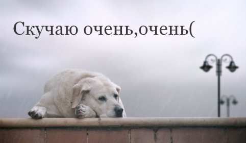 Открытки скучаю я скучаю по тебе,картинки с надписью скучаю . Картинки открытки с надписью ,с надписями скучаю,очень скучаю,картнки картинка скачую, надпись на открытки скучаю,очень скучаю,красивые открытки скучаю скачать.