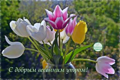 Открытка доброе весеннее утро,с добрым весенним утром,весеннее утро Картинка открытка доброе утро весны,с добрым весенним утром,весна доброе утро,картинки открытки с добрым весенним утром,весеннее доброе утро скачать бесплатно .