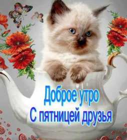 Открытка с пожеланиями доброго утра пятницы,доброе утро пятница Открытки,открытка с добрым утром пятница,красивые картинки,открытки пятница доброе утро,картинка,открытка с пятницей,с добрым утром,пятница доброе утро скачать 