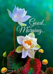Открытка картинка Good Morning доброе утро на английском языке Открытки картинки открытка картинка Good Morning доброе утро на английском языке,пожелания доброго утра на английском языке ,открытка картинка Good Morning скачать