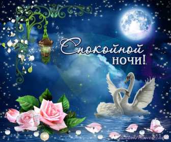Открытки спокойной ночи,спокойного сна,пожелания спокойной ночи Картинки открытки спокойной ночи,пожелания спокойного сна,открытка открытки спокойной ночи,сладких снов,картинка с пожеланиями спокойной ночи скачать бесплатно .