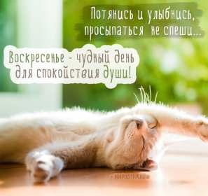 Открытка с добрым утром воскресенья,с добрым воскресным утром Открытка открытки с пожеланиями доброго утра воскресенья,картинка картинки воскресенье доброе утро,добрые пожелания доброго утра воскресенья скачать бесплатно .