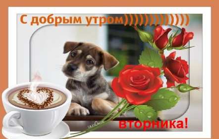 Открытка красивая доброе утро по дням недели, доброе утро вторника Картинка,открытка доброе утро вторника,открытки,открытка с добрым утром вторник,картинки,открытки вторник с добрым утром,яркие открытки с пожеланиями доброго утра вторника