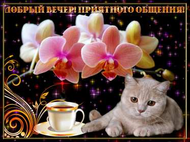 Открытки открытка добрый вечер,пожелания доброго,чудесного вечера Картинка открытка добрый вечер,хорошего вечера,приятного вечера,картинки открытки доброго вам вечера,открытка отккрытки пожелать доброго вечера скачать бесплатно