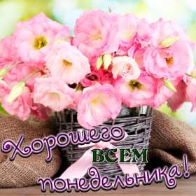 Открытка доброе утро по дням недели, доброе утро понедельника Картинка,открытка с добрым утром дни недели,открытки,открытка с пожеланиями доброго утра понедельника,картинка,картинки с добрым утром понедельник скачать бесплатно