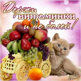 Открытки выздоравливай ,пожелания скорейшего выздоравления,фрукты,котик Открытка открытки картинка картинки скорейшего выздоравления,выздоравливай,открытка с пожеланиями скорейшего выздоравления,выздоравливай,поправляйся скачать бесплатно