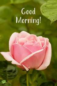 Открытки картинки  доброго утра , доброе утро Good Morning . Картинка картинки открытка открытки Good Morning доброе утро , доброго утра на английском языке,открытка картинка на английском Good Morning скачать бесплатно .