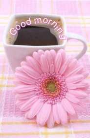 Картинка открытка на английском языке доброе утро Good Morning  Открытка открытки картинка картинки с пожеланиями доброго утра на английском языке Good Morning ,картинка открытка Good Morning доброе утро,с добрым утром скачать