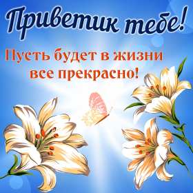 Открытка картинка привет,приветствие,передать привет,приветик Открытки картинки с приветствием,передать привет ,приветик,привет,открытка яркая привет,картинка красивая привет,приветик,передаю привет открытки скачать бесплатно