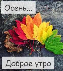 Открытки доброго осеннего утра,пожелания доброго утра осени,разноцветные листья Открытки картинки с добрым осенним утром ,доброго осеннего утра,картинки картинка с пожеланиями доброго утра осени,доброго осеннего утра,красивые,осенние открытки доброе утро