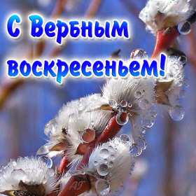 Открытка картинка с вербным воскресеньем,на вербное,с вербным Открытки открытка картинки картинка вербное,на вербное воскресенье,с вербным воскресеньем,красивая открытка картинка вербное,вербное воскресенье скачать бесплатно