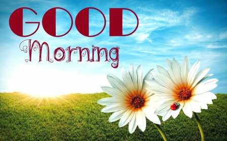 Картинка открытка на английском языке доброе утро Good Morning  Открытка открытки картинка картинки с пожеланиями доброго утра на английском языке Good Morning ,картинка открытка Good Morning доброе утро,с добрым утром скачать