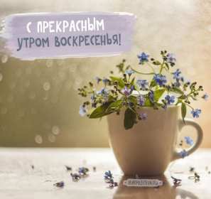 Открытка с добрым утром воскресенья,с добрым воскресным утром Открытка открытки с пожеланиями доброго утра воскресенья,картинка картинки воскресенье доброе утро,добрые пожелания доброго утра воскресенья скачать бесплатно .