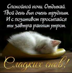 Картинки открытки с пожеланиями спокойной ночи,спокойного сна. Открытки открытка доброй ночи,спокойной ночи,картинки с пожеланиями сладких снов ,спокойной ночи,красивые картинки открытки спокойной ночи ,скачать бесплатно . 
