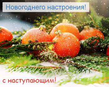Открытка с пожеланиями новогоднего настроения,ель,игрушка мандарин. Открытка картинка открытки картинки новогоднее настроение,пожелания новогоднего настроения,праздничного настроения,открытка картинка новогоднего настроения скачать