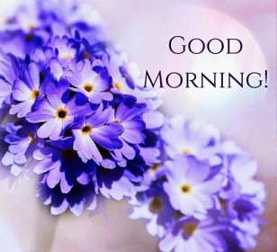 Открытки картинки  доброго утра , доброе утро Good Morning . Картинка картинки открытка открытки Good Morning доброе утро , доброго утра на английском языке,открытка картинка на английском Good Morning скачать бесплатно .