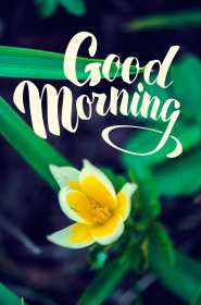 Картинка открытка на английском языке доброе утро Good Morning  Открытка открытки картинка картинки с пожеланиями доброго утра на английском языке Good Morning ,картинка открытка Good Morning доброе утро,с добрым утром скачать