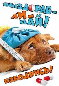 Открытка с пожеланиями скорейшего выздоровления,выздоравливай,собака Открытка картинка открытки картинки выздоравливай,пожелать скорейшего выздоравления ,выздоравливай скорей,открытка с надписью выздоравливай скачать бесплатно .
