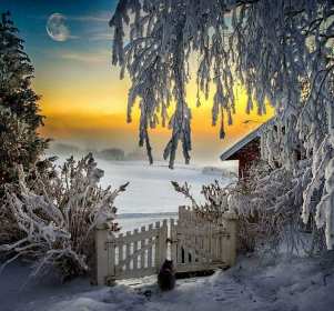 Открытка картинка доброе утро зимы,зима доброе утро,зимнее утро Открытка открытки с пожеланием доброго зимнего утра,с добрым зимним утром,картинки картинка с добрым утром зимы,доброе утро зима,открытка зимняя доброе зимнее утро
